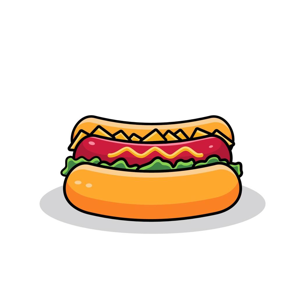 vector hot dog food with colorful