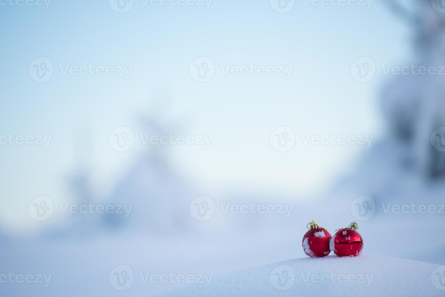 christmas ball in snow photo