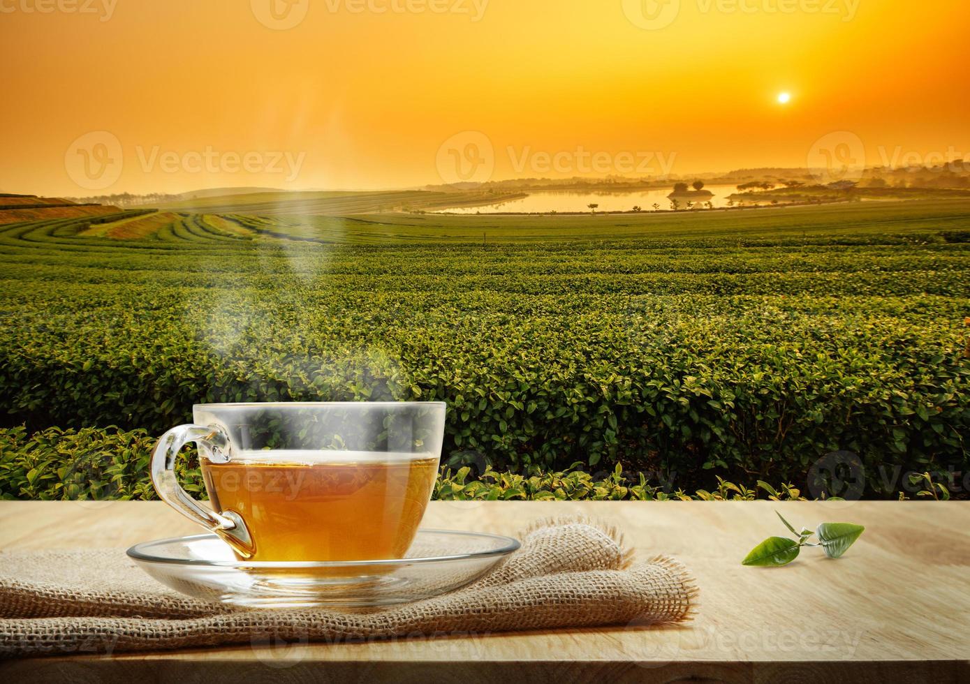 Tea cup with sacking on the wooden table and the tea plantations background, Sunrise time photo