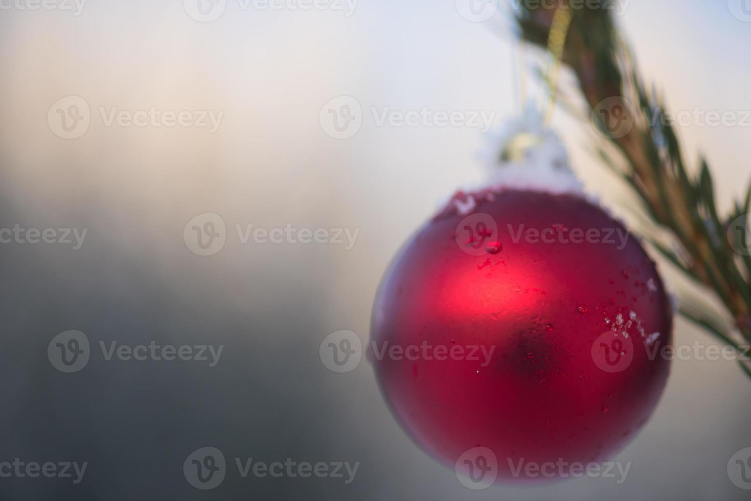 christmas balls on pine tree photo