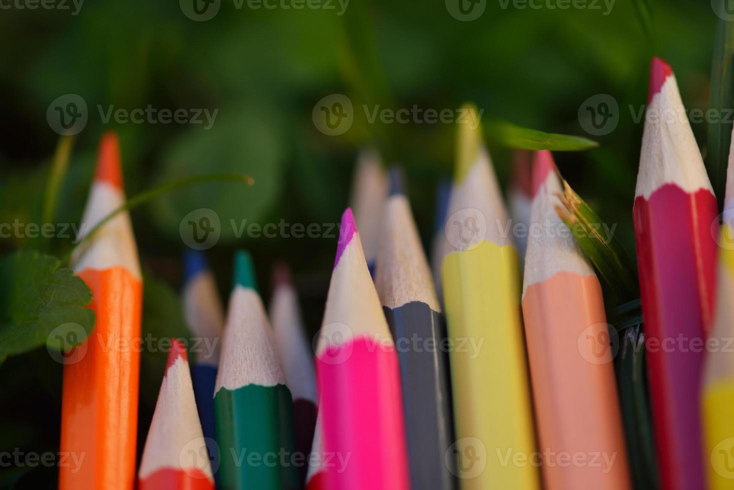 Colored pencils closeup photo