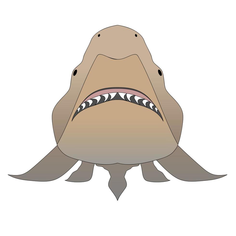 Shark with opened mouth in attack position and sharp teeth vector