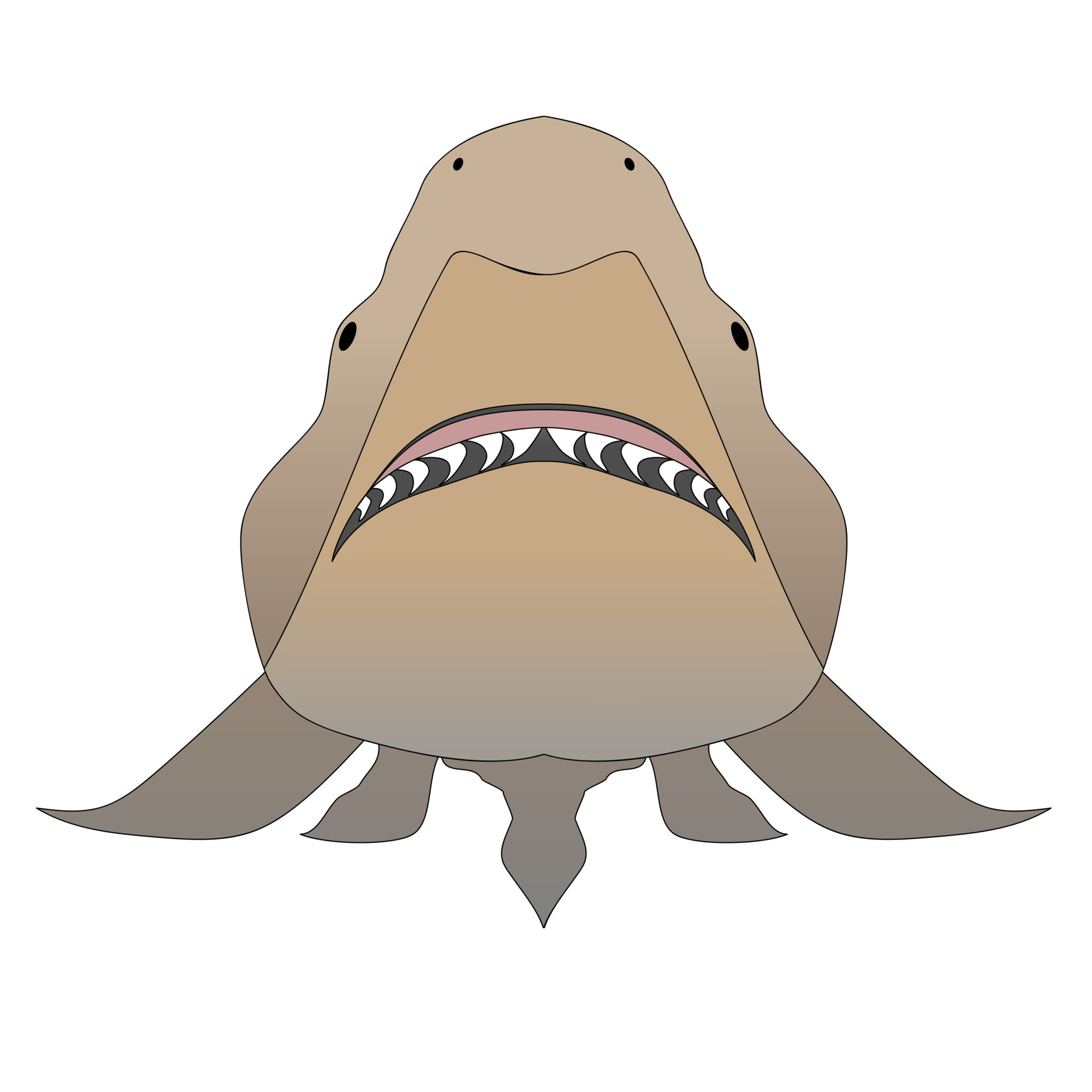 Shark with opened mouth in attack position and sharp teeth 11332565