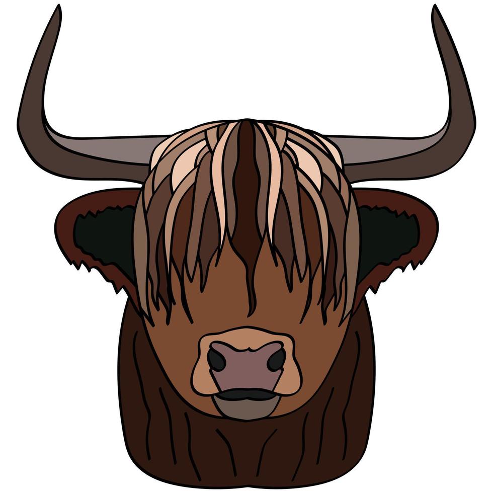 Head of a wild yak. Portrait of cattle, cow. Isolated on a white background. Design element for logo, poster, card, banner, emblem, t-shirt. Vector illustration.