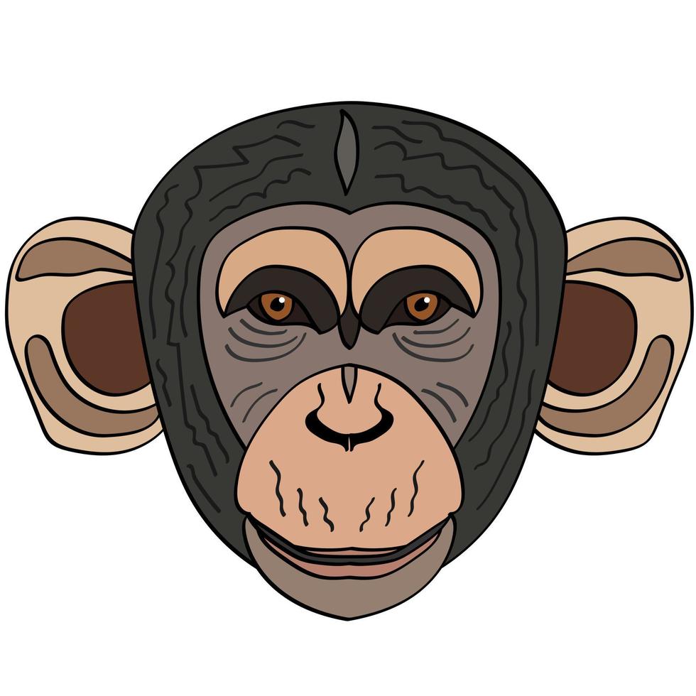 Chimpanzee head illustration, flat style logo. Cartoon image vector graphics.
