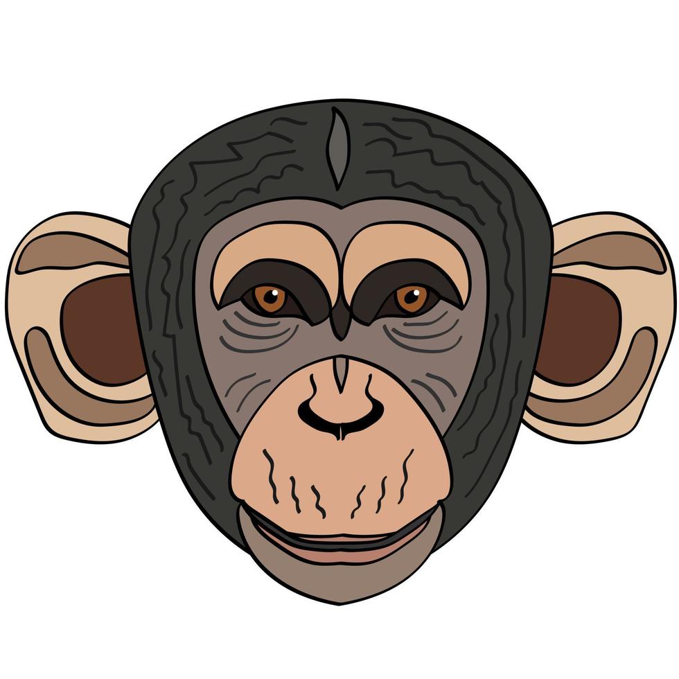 Chimpanzee head illustration, flat style logo. Cartoon image vector graphics.
