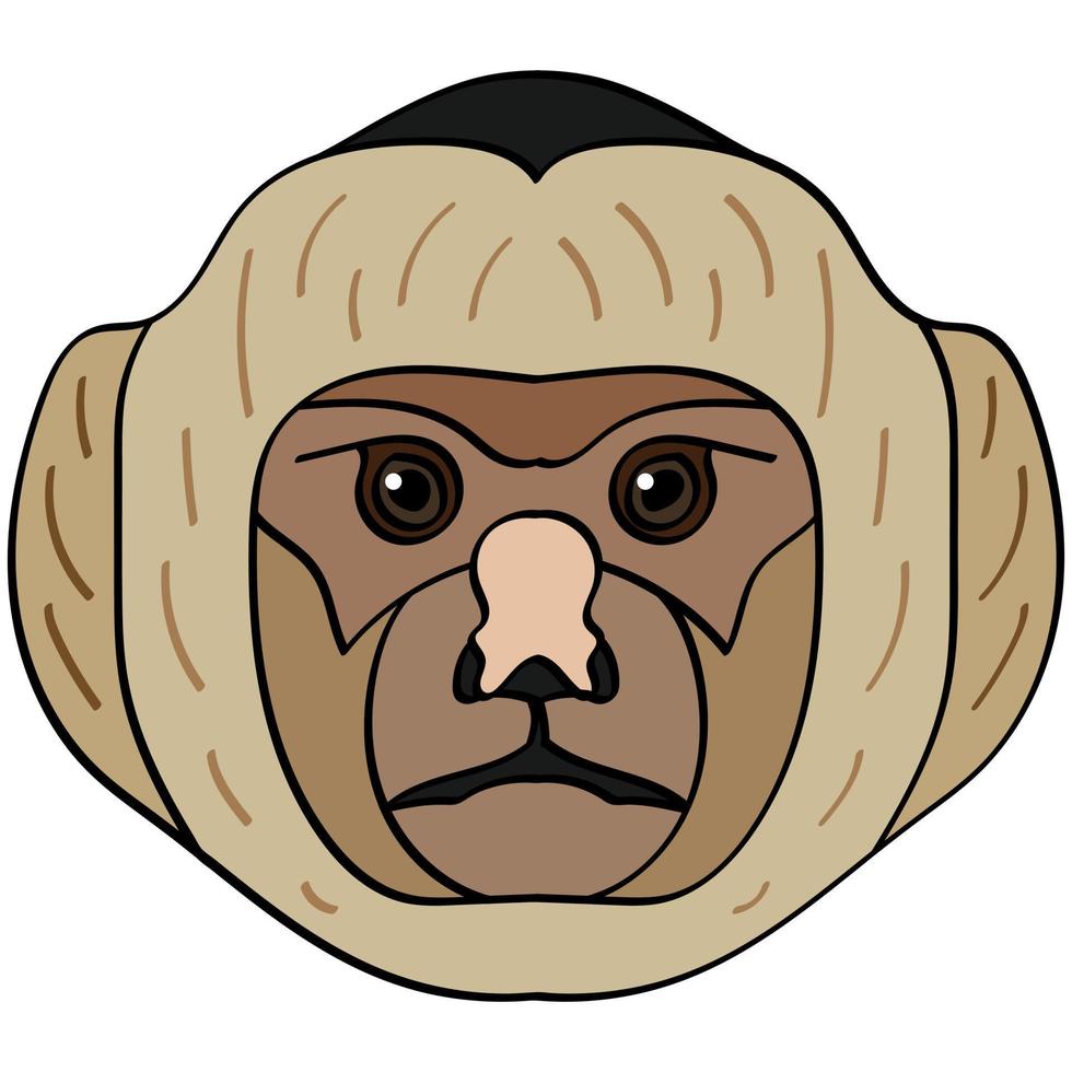Capuchin head illustration, flat style logo. Cartoon image vector graphics.
