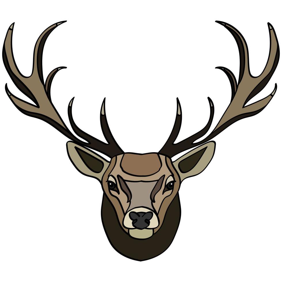 cabeza de venado. retrato de ganado salvaje, animal. Aislado en un fondo blanco. elemento de diseño para logotipo, afiche, tarjeta, pancarta, emblema, camiseta. ilustración vectorial vector