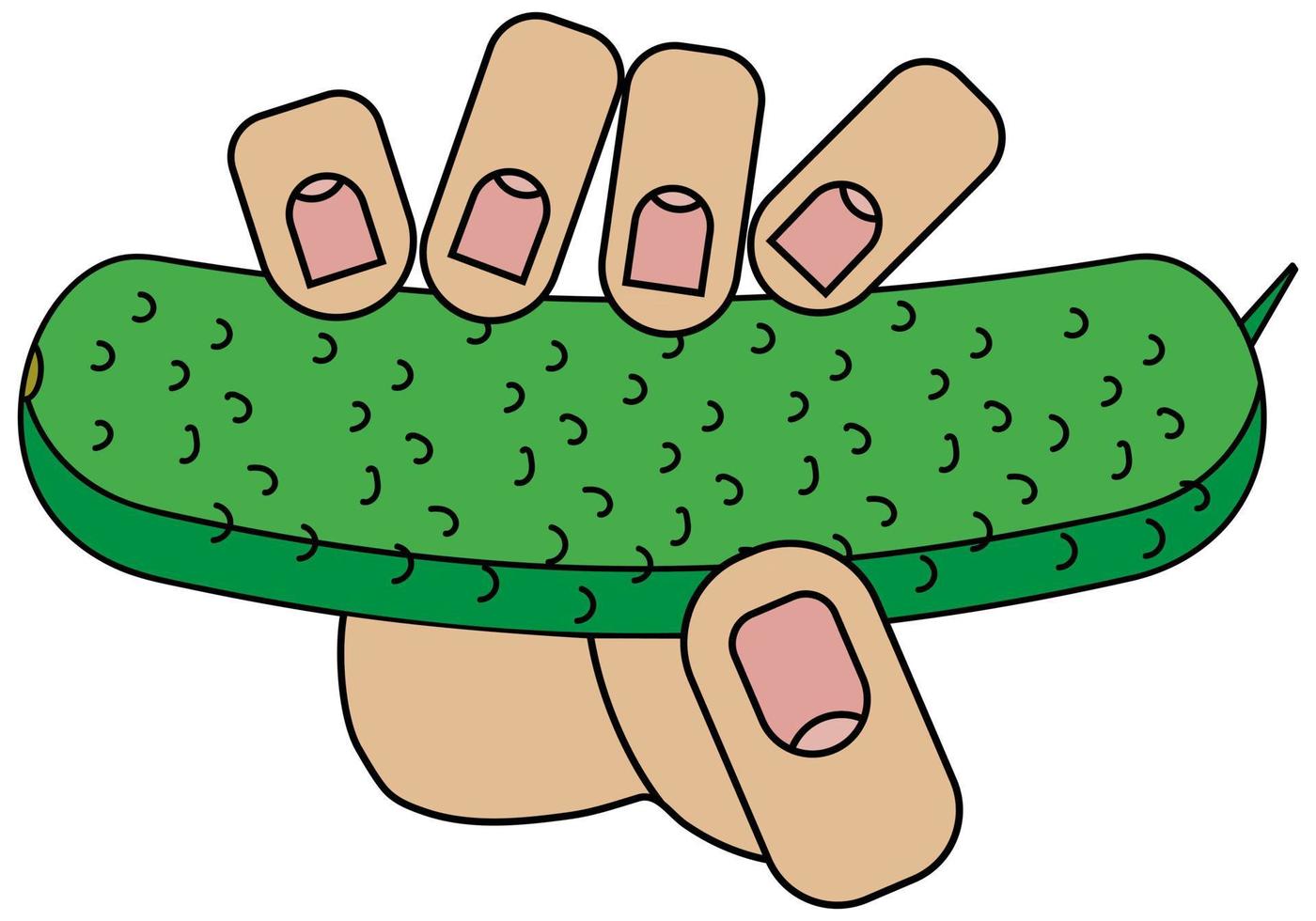 Hand holding cucumber, isolated on white background in cartoon style in vector graphic