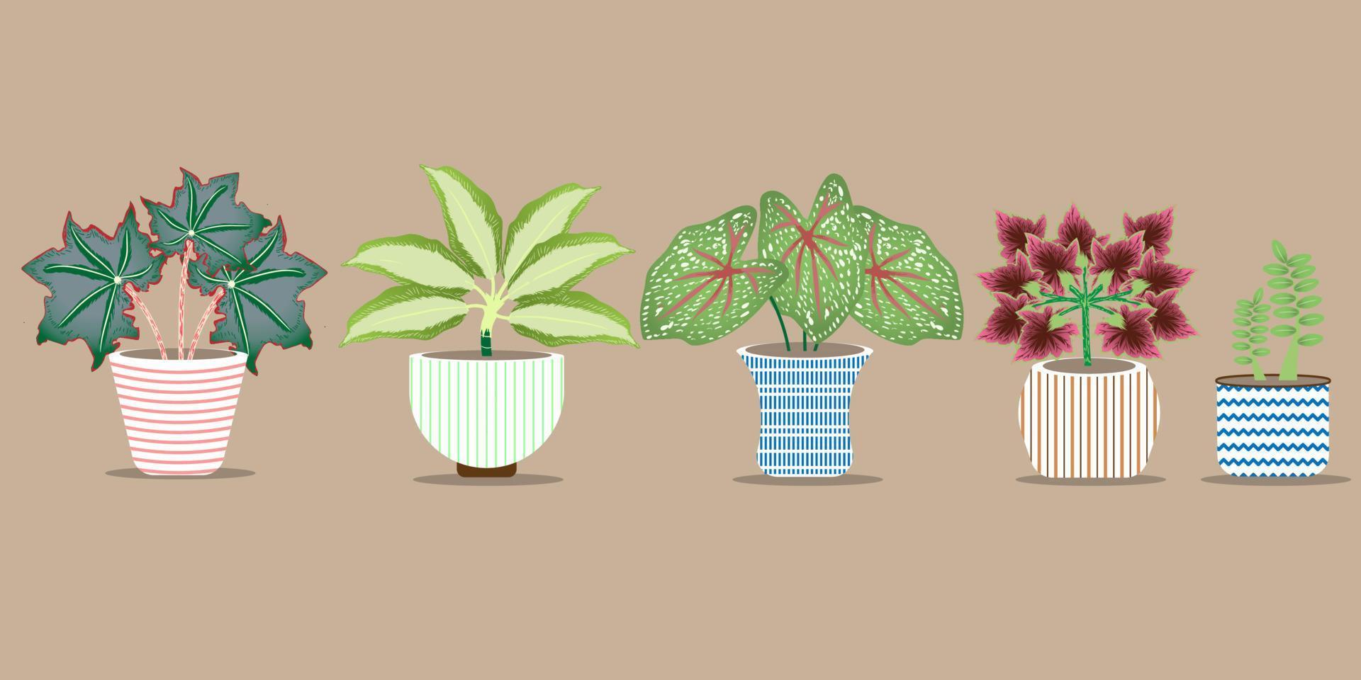 diseño de ilustración de plantas ornamentales con hermosas macetas vector