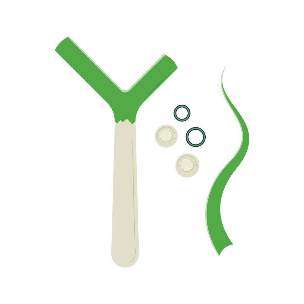 Spring Onion Flat Illustration. Clean Icon Design Element on Isolated White Background vector