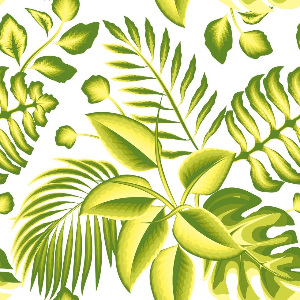 green abstract Realistic jungle illustration tropical seamless pattern with monstera fern leaves and palm plant foliage on white background. Exotic tropics. Summer design. nature wallpaper. interior vector