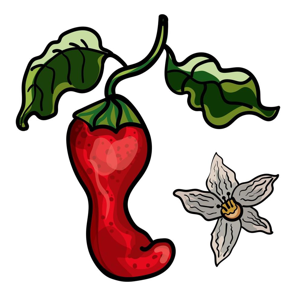 pimiento rojo de dibujos animados vector