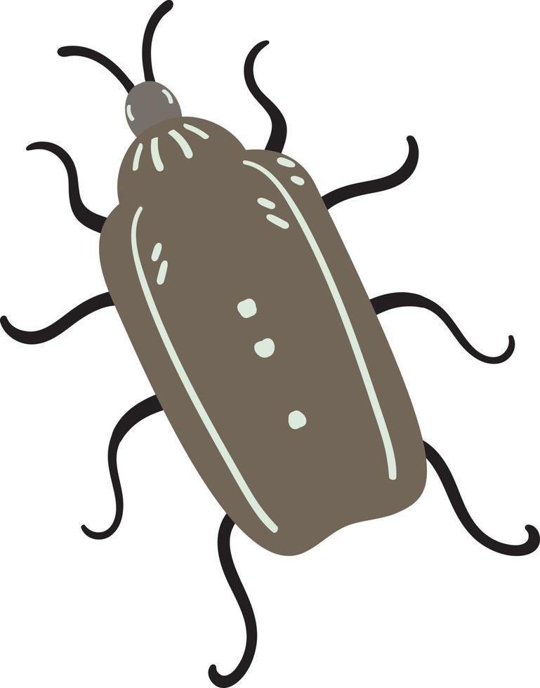 escarabajo insecto marrón vector