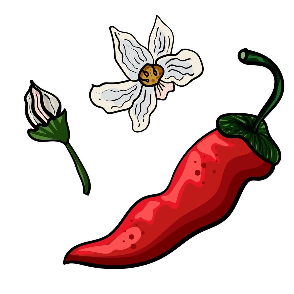 pimientos mexicanos y flor vector