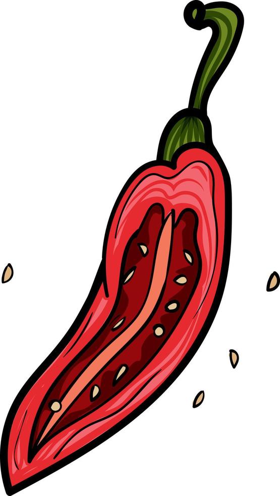 Chili pepper with seeds vector