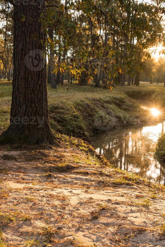 el sol se refleja en el arroyo temprano en la mañana a fines del otoño. foto