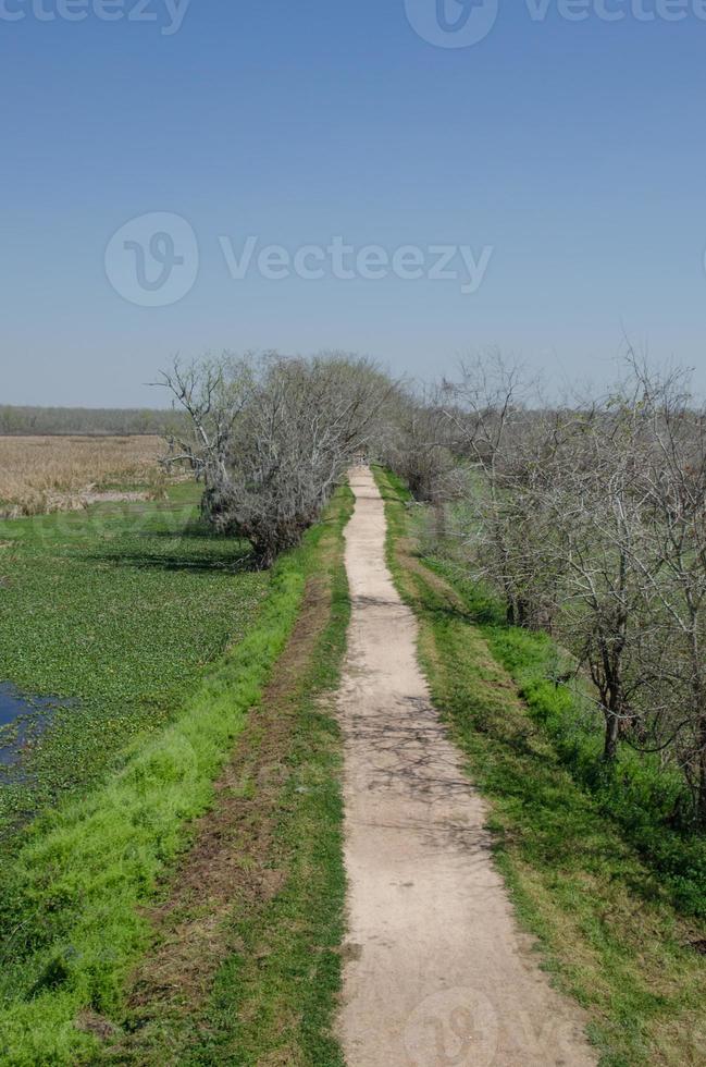 A long footpath disappearing into the distance at Brazos Bend State Park in Texas. photo