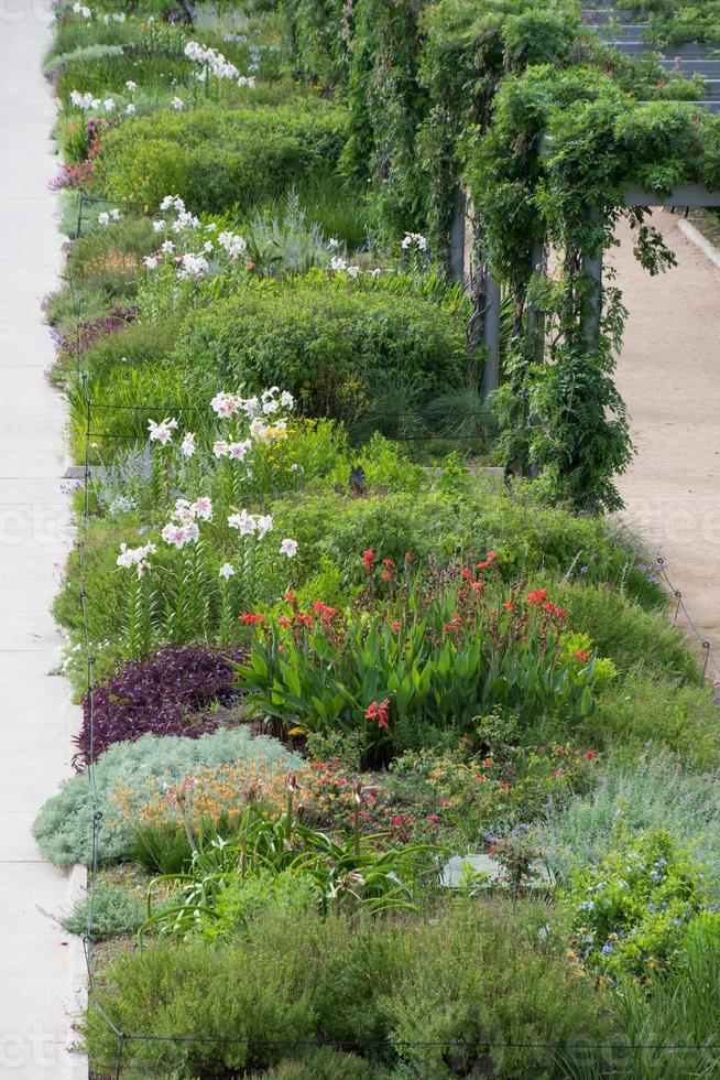 A wide flower bed edged by a vine-covered arbor. photo