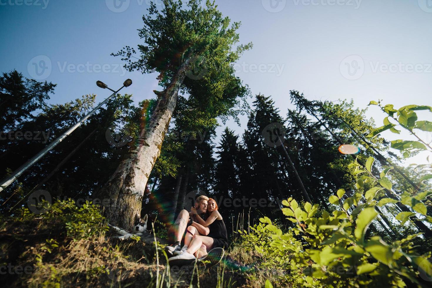 beautiful couple sitting in a forest near the tree photo