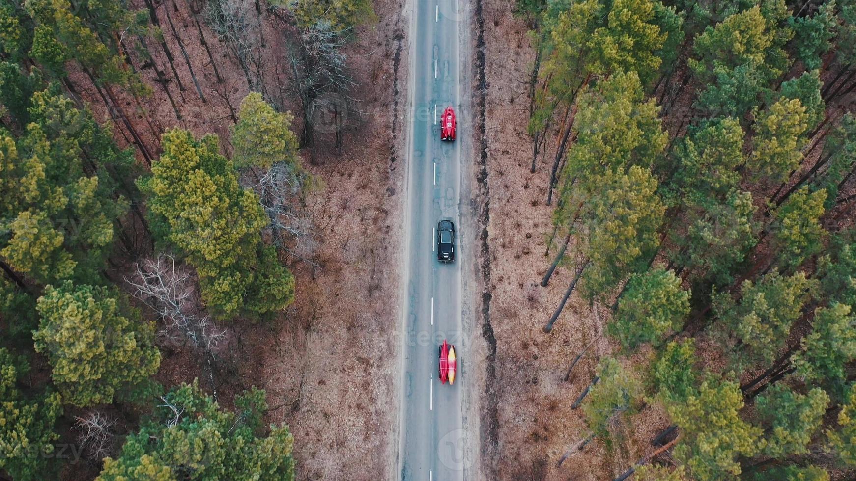 varios coches con kayaks en la baca conduciendo por la carretera entre árboles foto