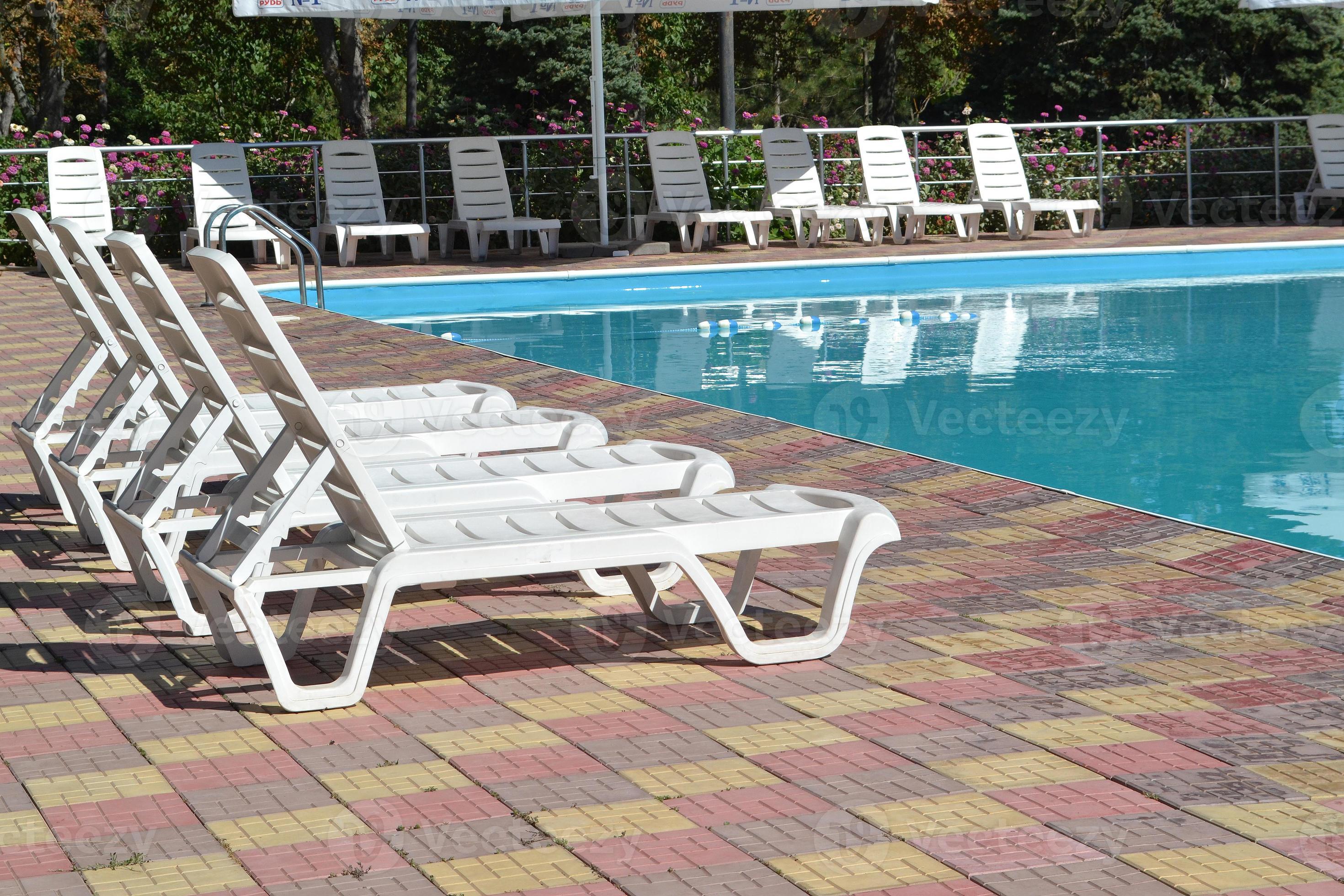 Poolside. Sunbeds near swimming pool surrounded by pine trees 11338395