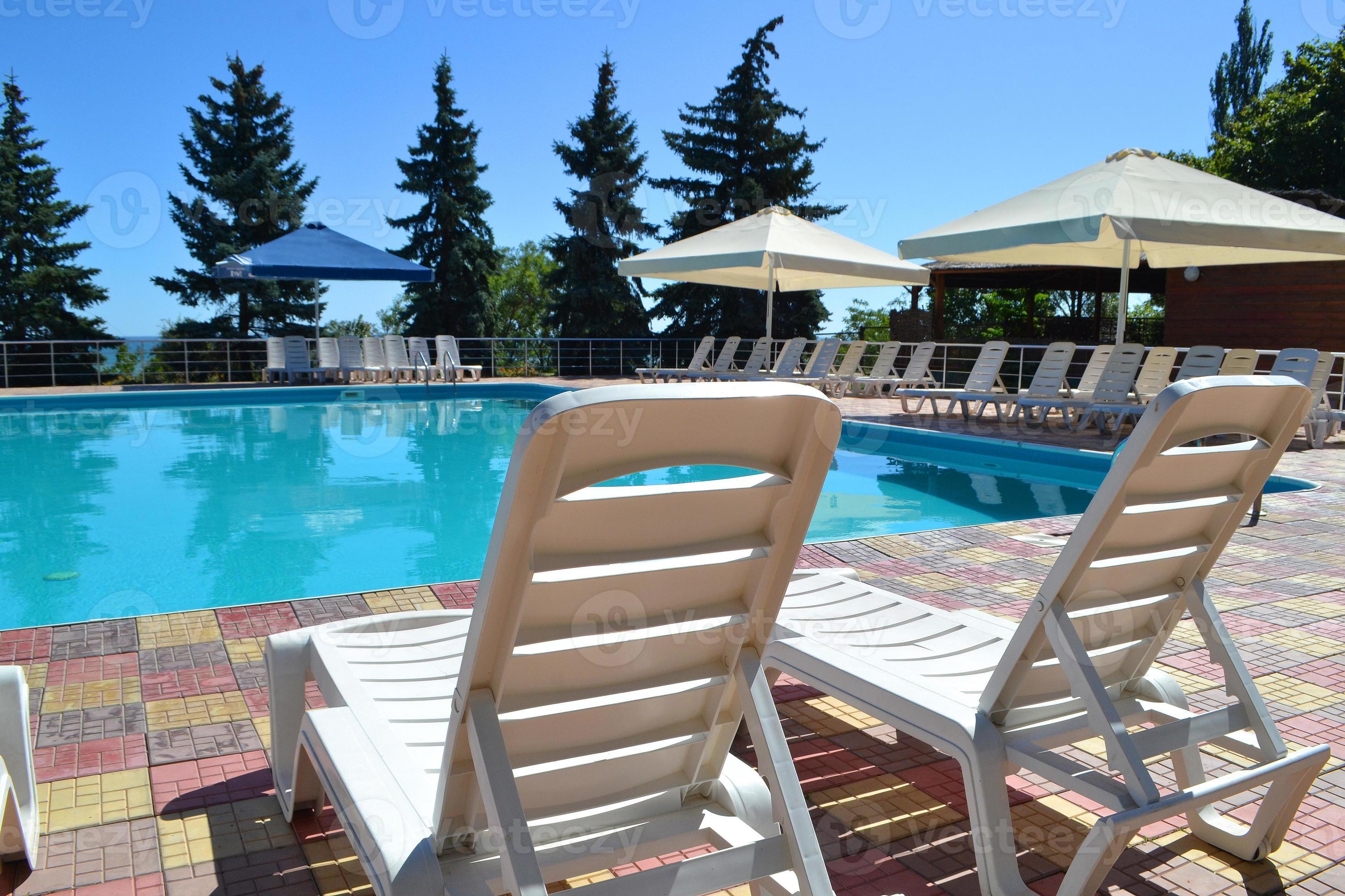 Poolside. Sunbeds near swimming pool surrounded by pine trees 11338397