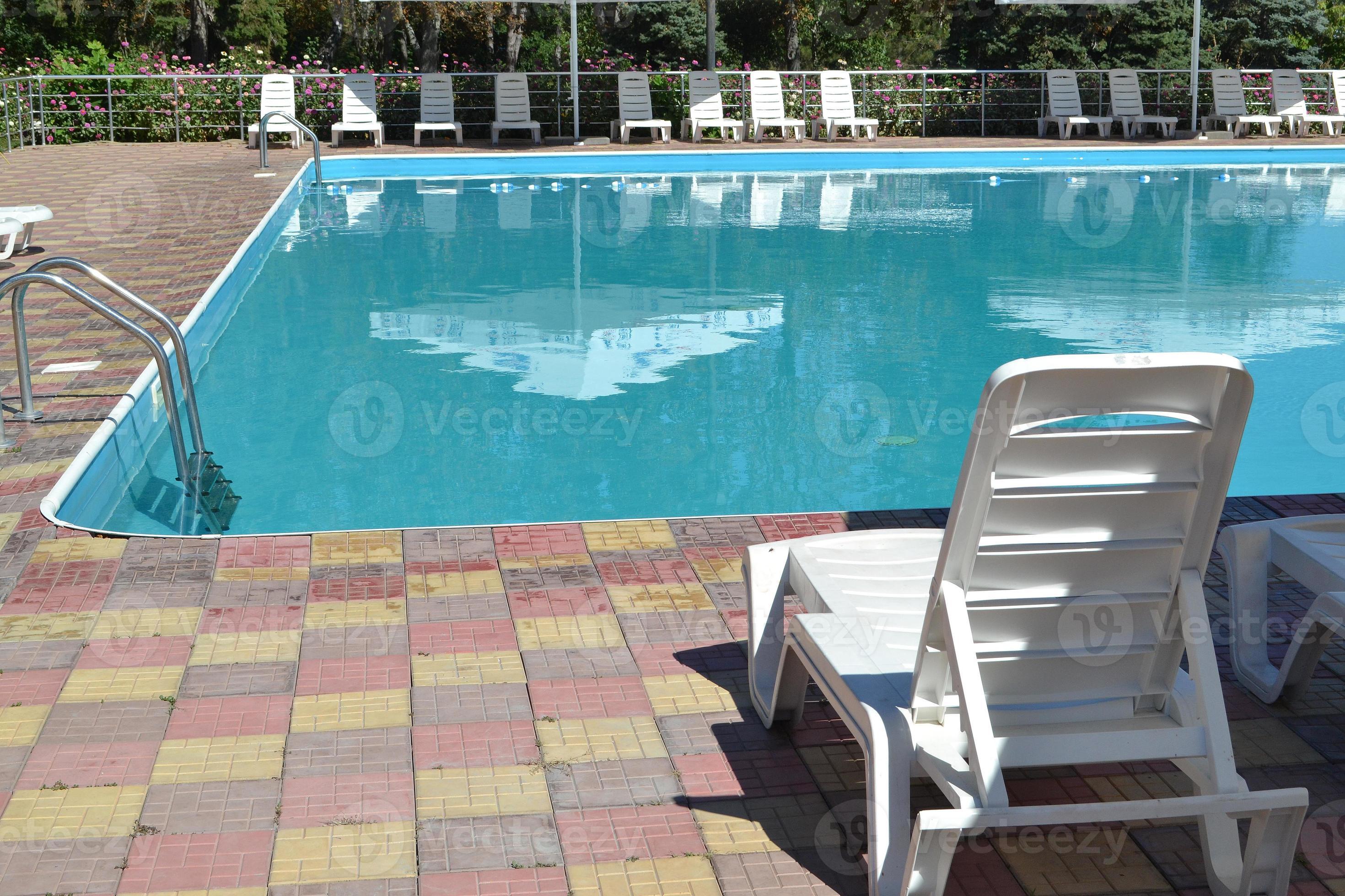 Poolside. Sunbeds near swimming pool surrounded by pine trees 11338400