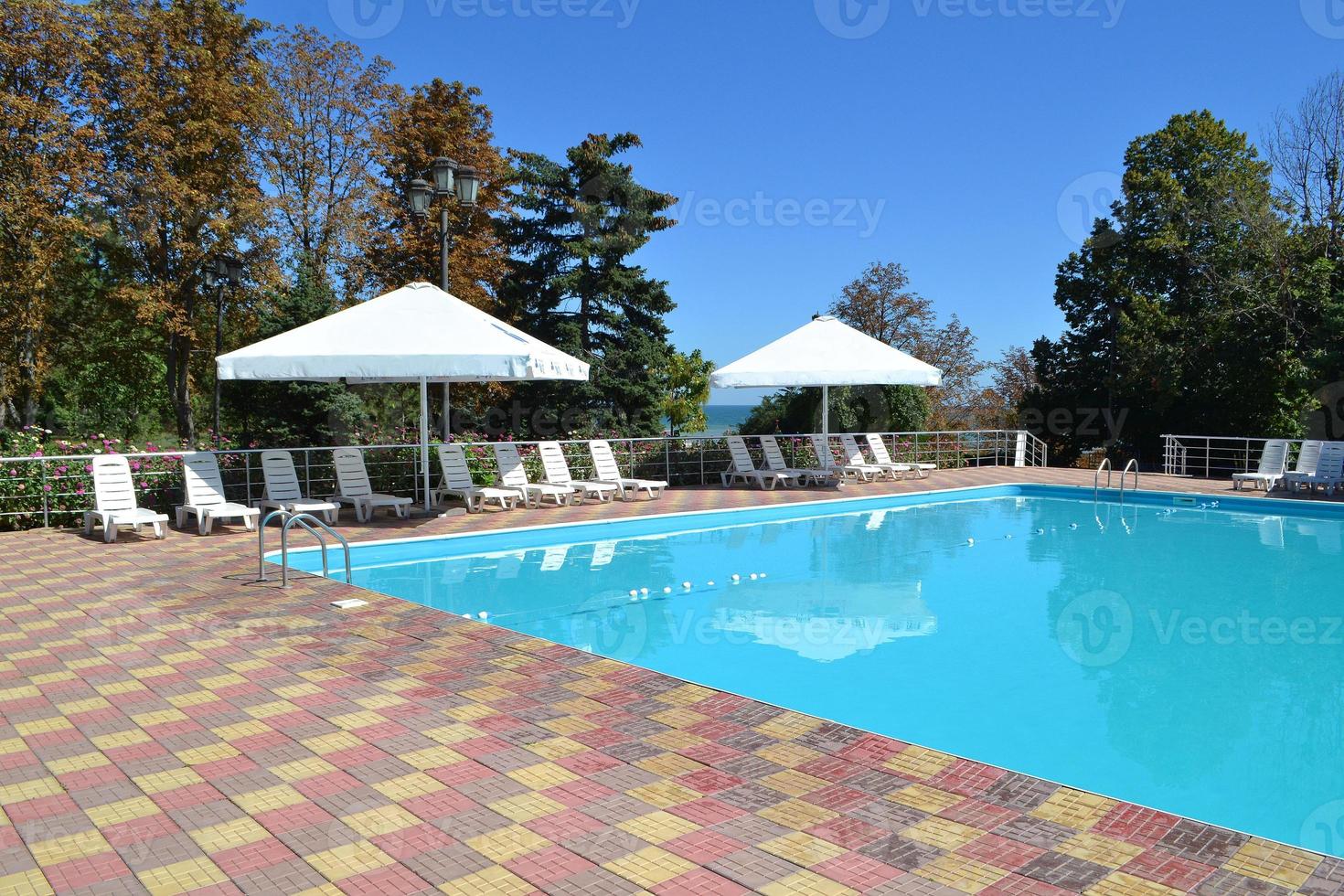 Poolside. Sunbeds near swimming pool surrounded by pine trees photo