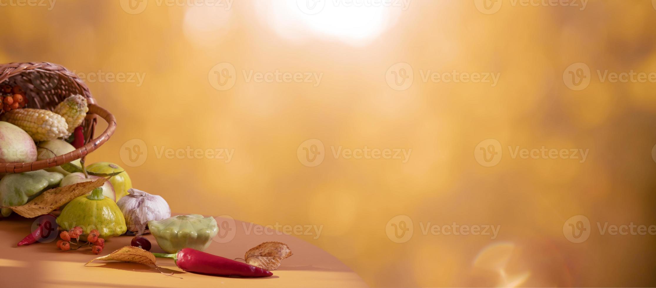 Autumn banner with still life composition made from basket and vegetables, autumn fall leaf on background with sunlight and bokeh. Copy space photo