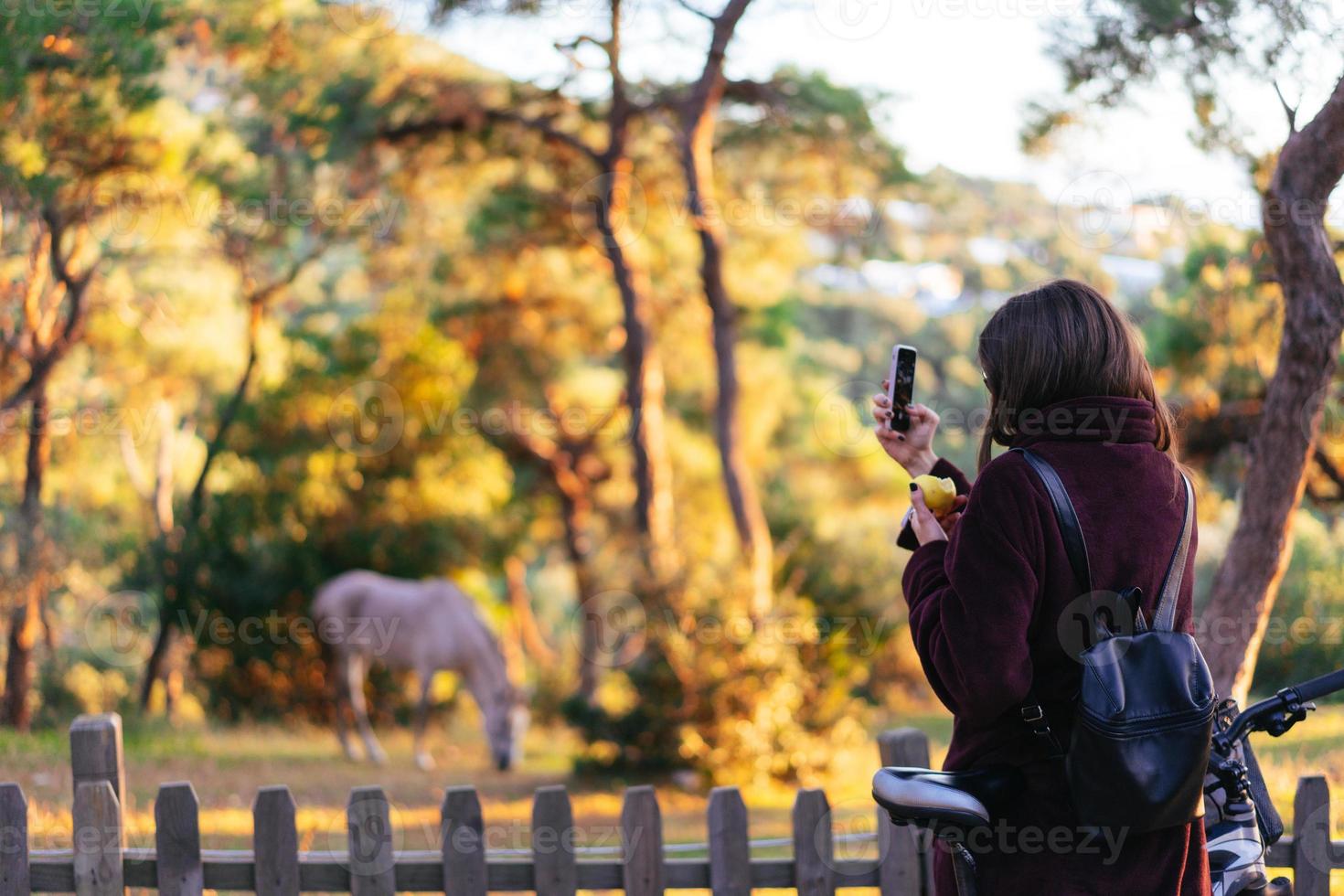 chica toma una foto de un caballo blanco