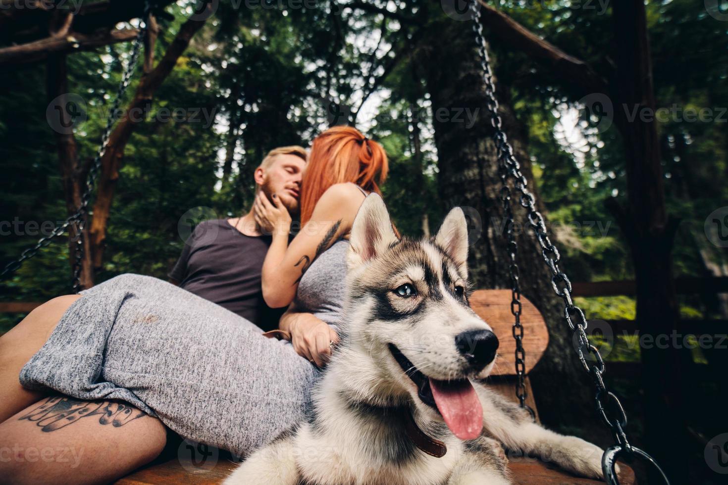 beautiful couple together with dog on a swing photo