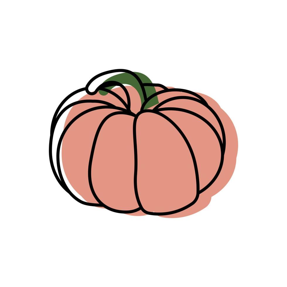 pumpkin on white background vector