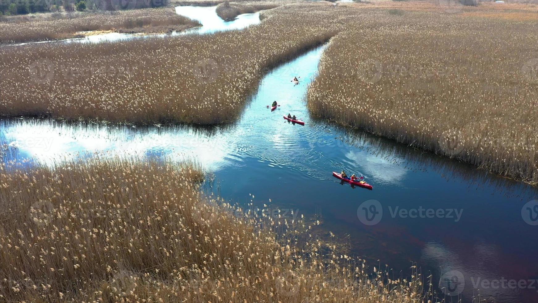 grupo de personas en kayaks entre juncos en el río de otoño. foto