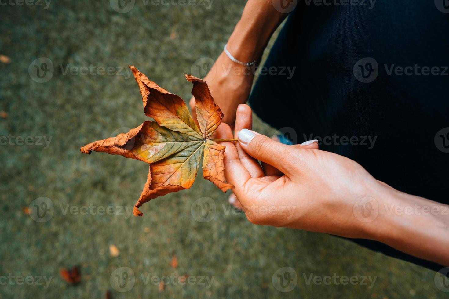 Woman hold nice yellow leaf in hand. photo