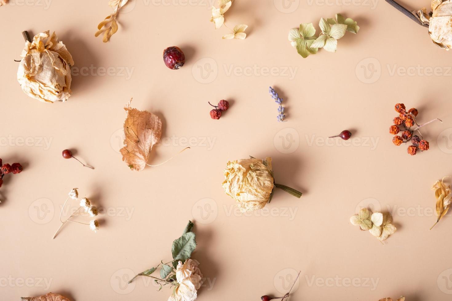 Autumn composition. Pattern made of dried leaves and flowers on pastel beige background. Autumn, fall concept. Flat lay, top view photo