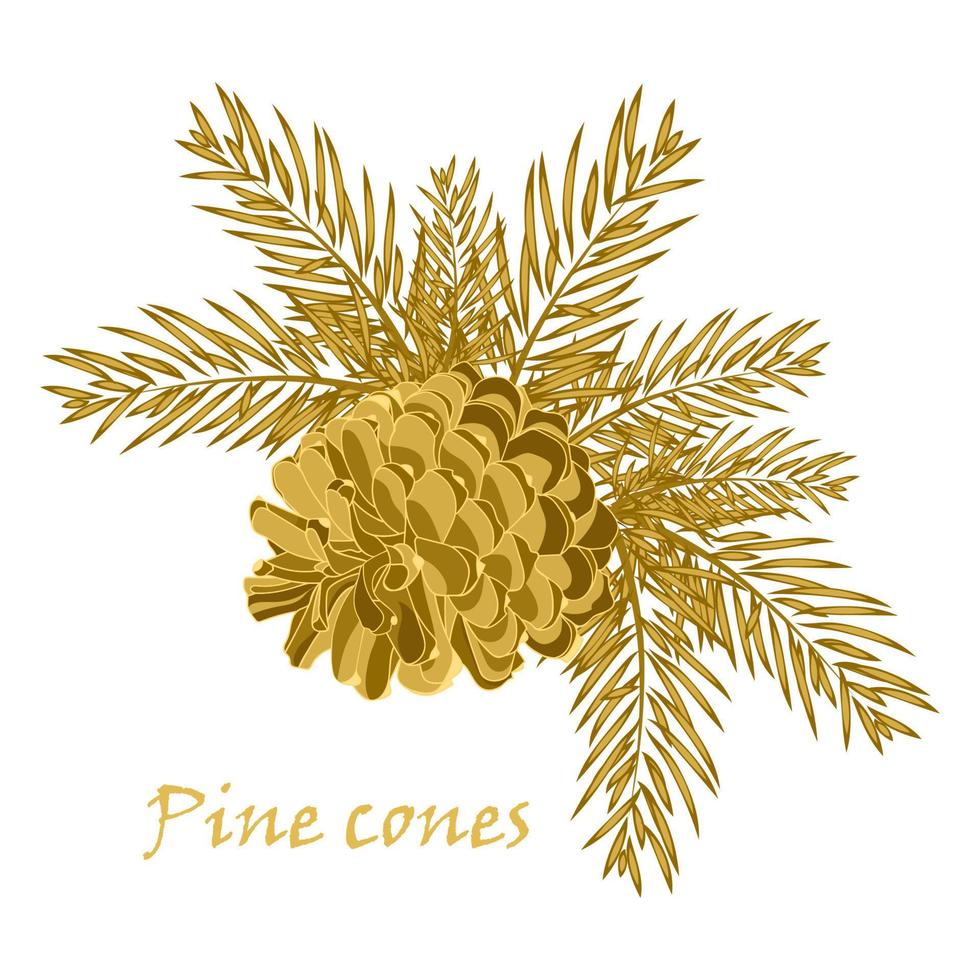 Fir tree branches with pine cone in golden color vector