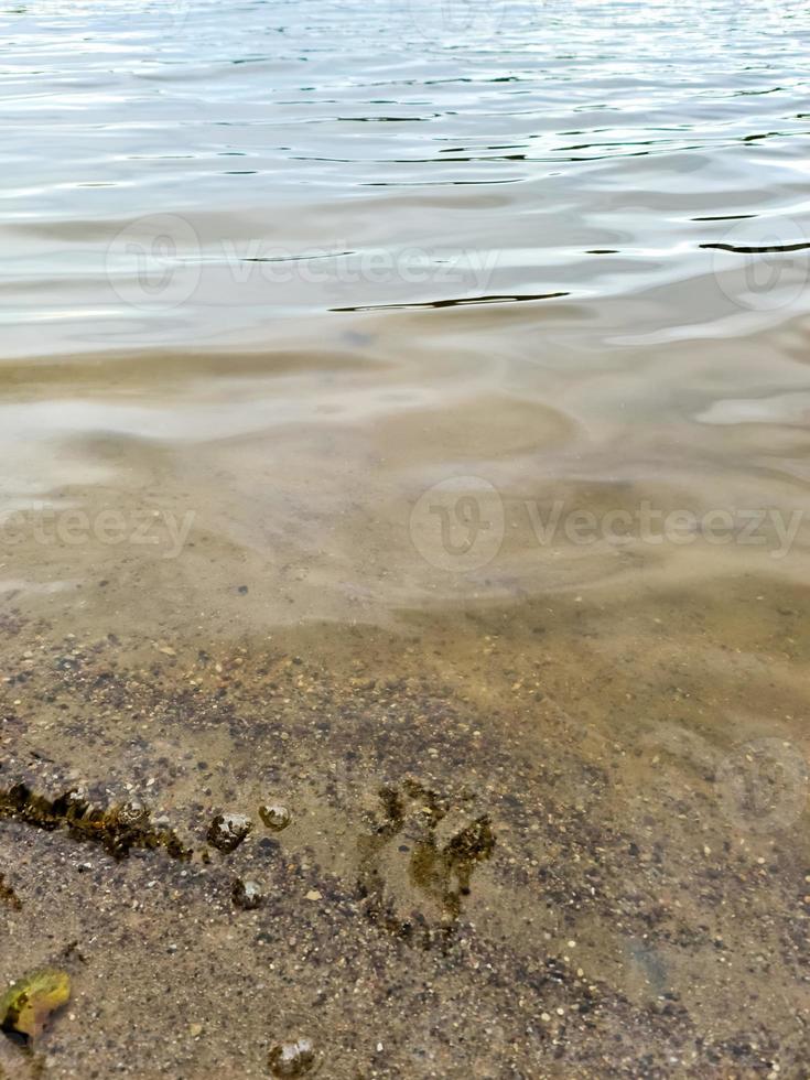 Water surfaces with waves and ripples and the sunlight reflecting at the surface. photo