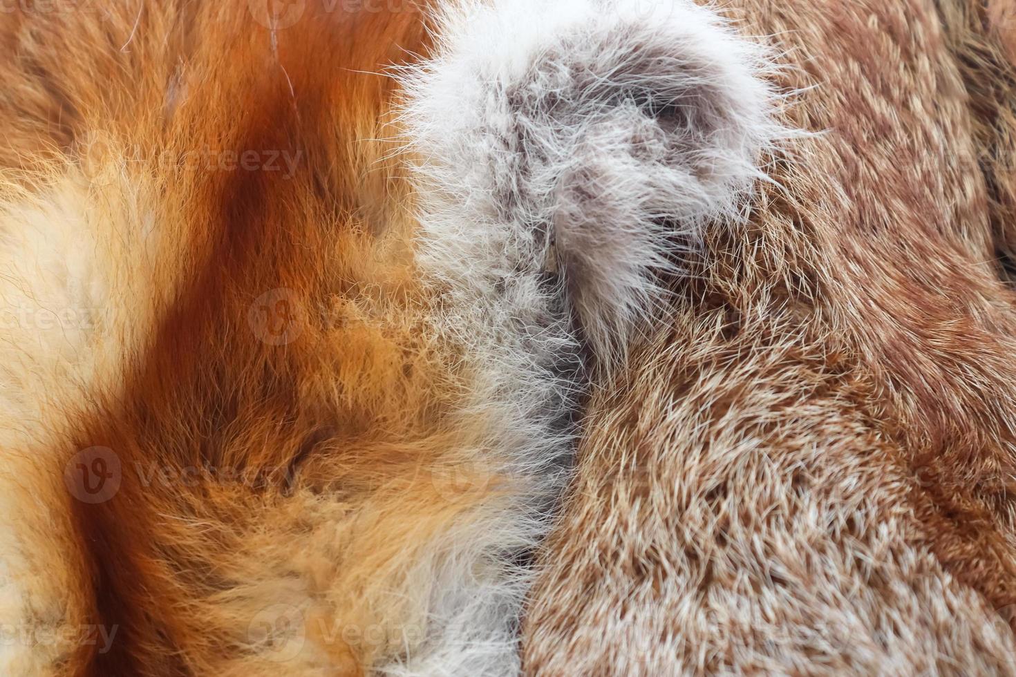 Detailed close up view on samples of cloth and fabrics in different colors found at a fabrics market photo