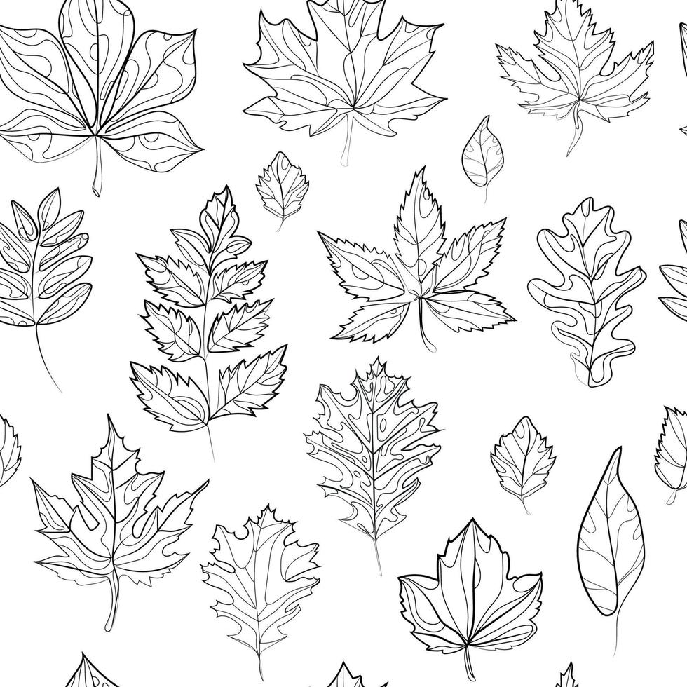 Autumn leaves seamless pattern black and white doodle style line drawing vector illustration.Leaves of different trees sketch drawing.Linear botanical pattern.Seamless outline illustration with leaves
