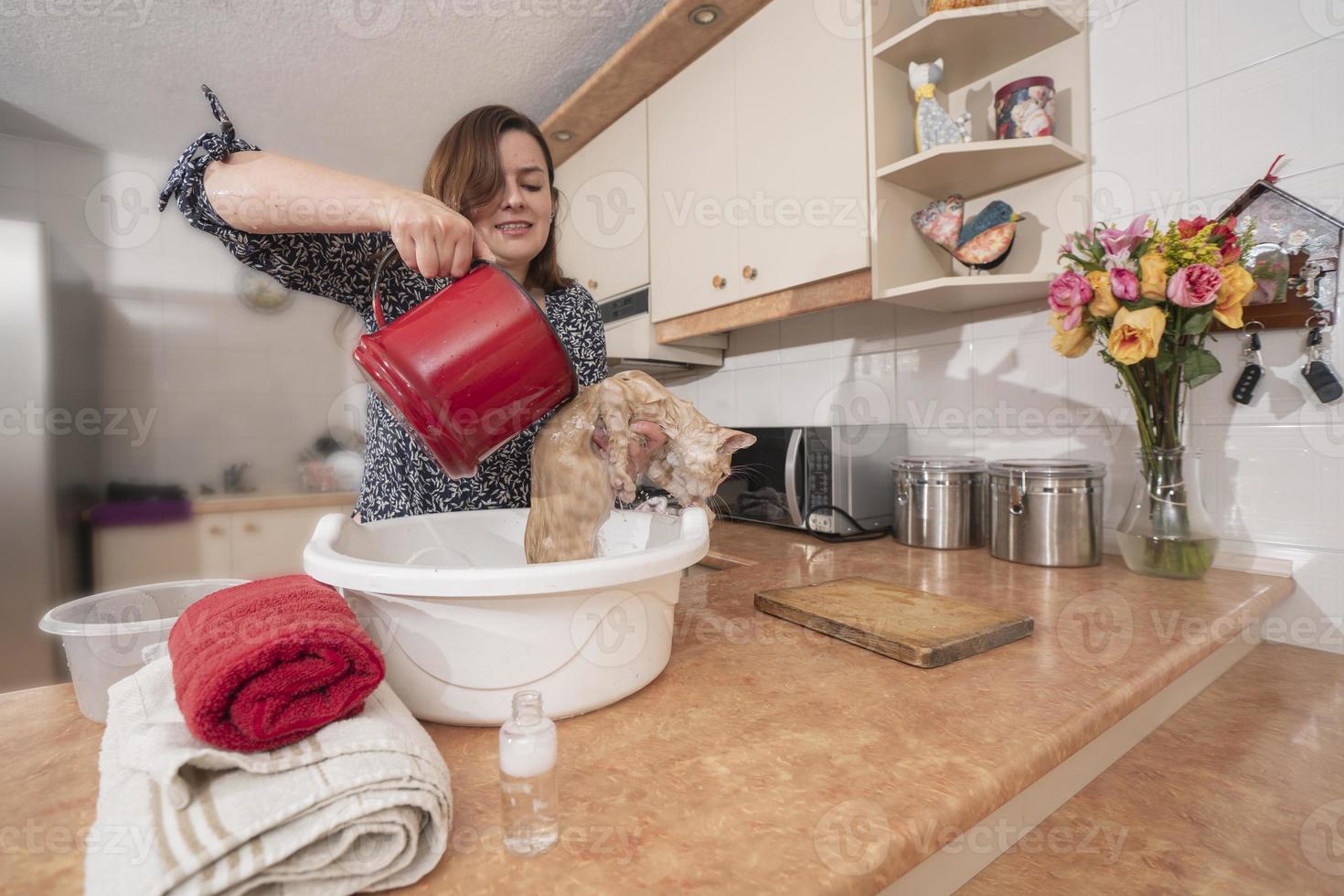 Beautiful young Hispanic woman bathing her little light brown kitten by pouring water into a white plastic pot on her kitchen counter photo