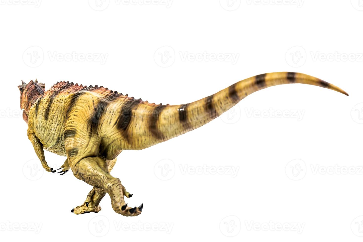 Ceratosaurus Dinosaur on white isolate background Clipping path photo