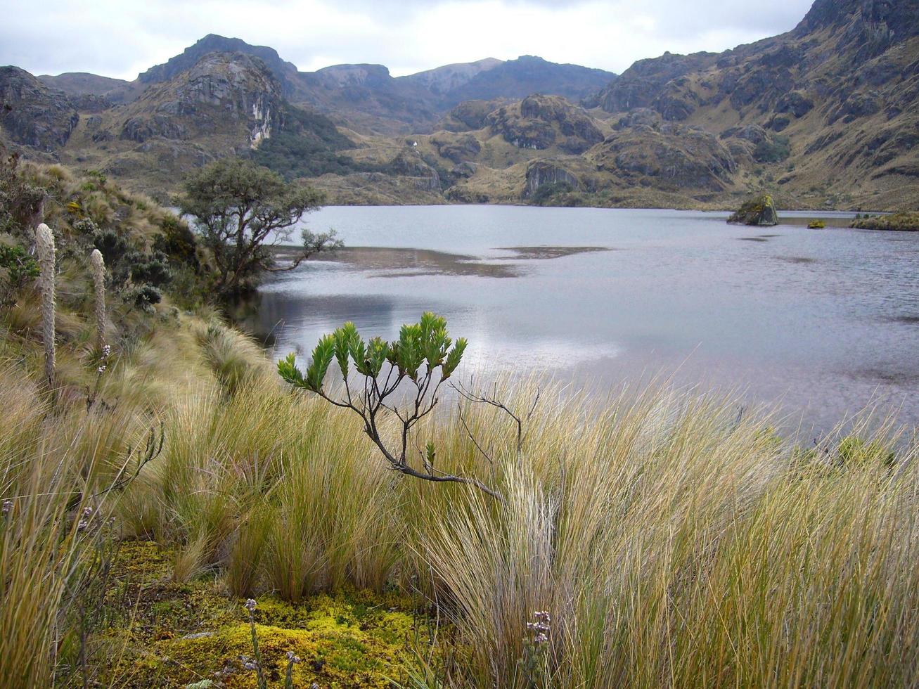 bewildering scenery at El Cajas national park in the andes of Ecuador photo