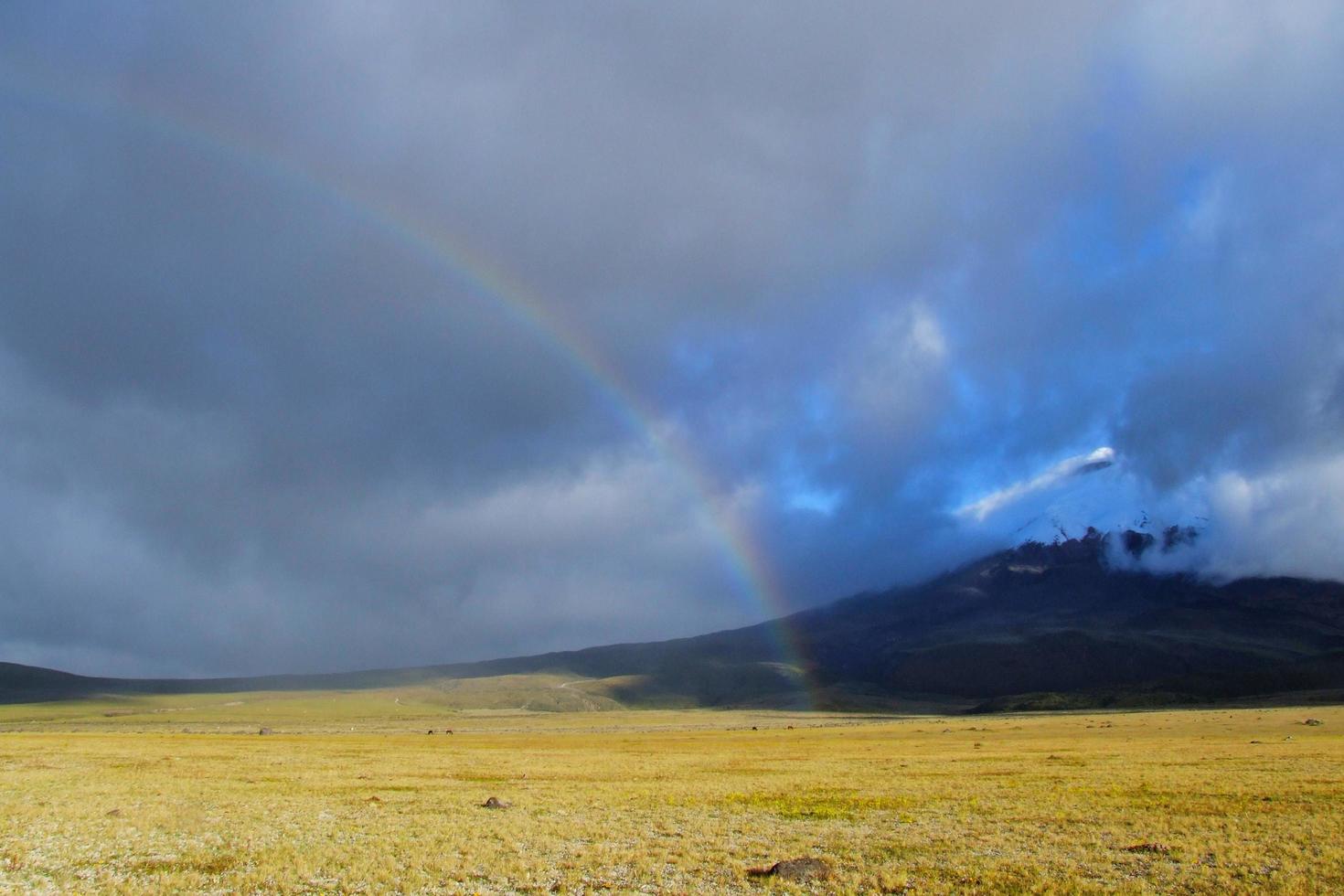 rainbow and wild horses at Ecuador's Cotopaxi national park photo
