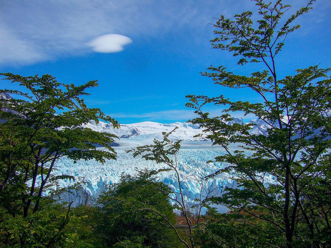 Perito Moreno glacier at Los Glaciares national park, Argentina photo