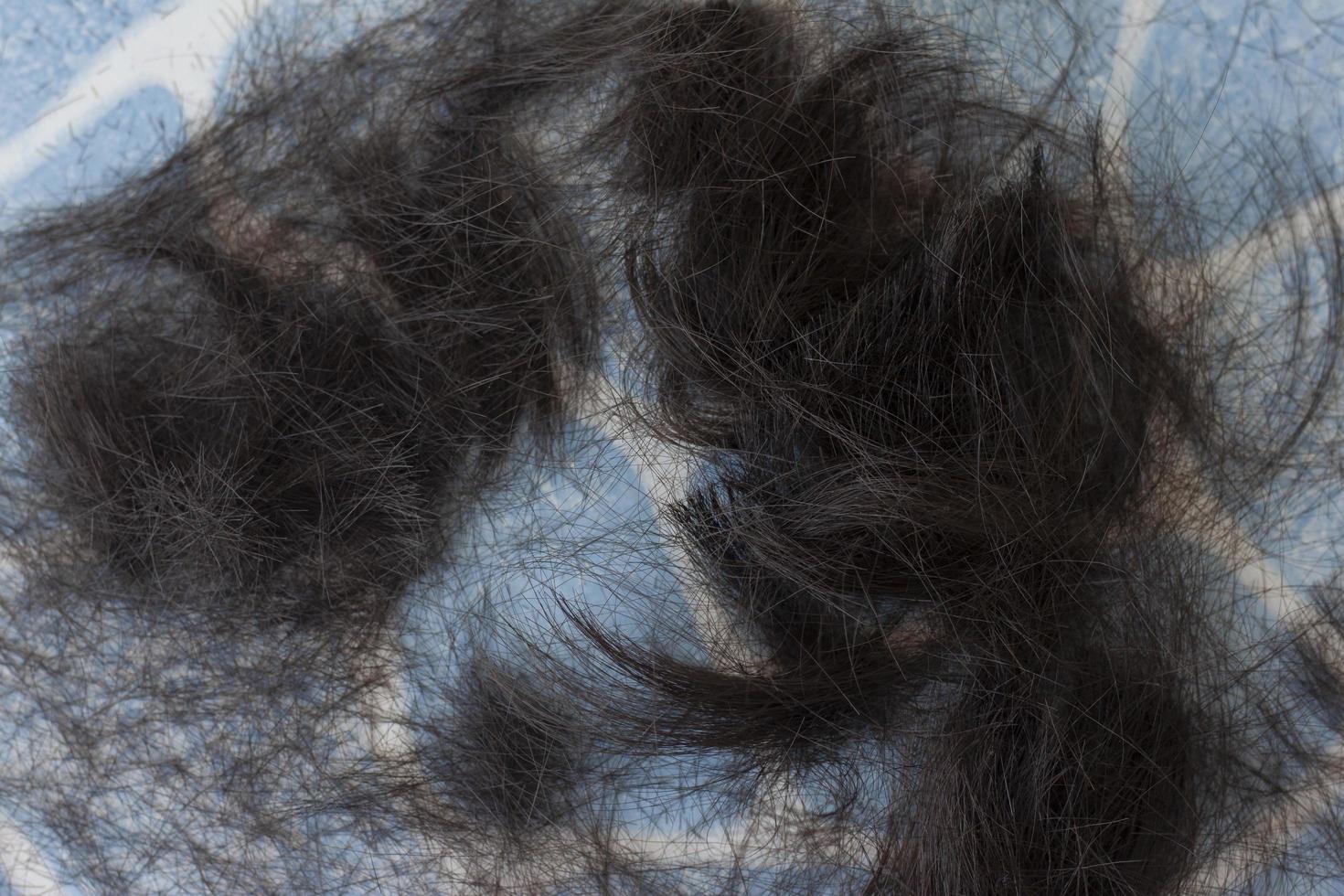 Cut off hair dry and split ends at the tile floor in the barber shop. photo