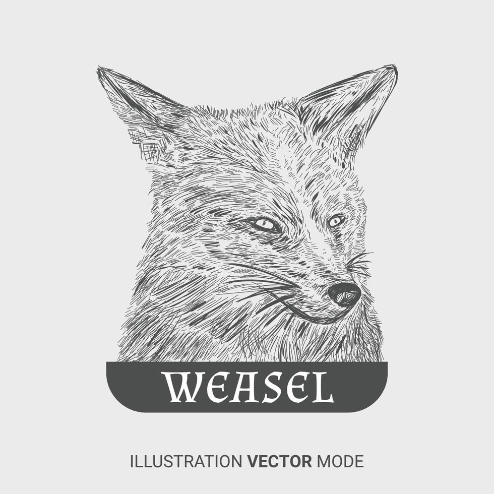 Ilustración de vector de diseño de boceto abstracto animal comadreja