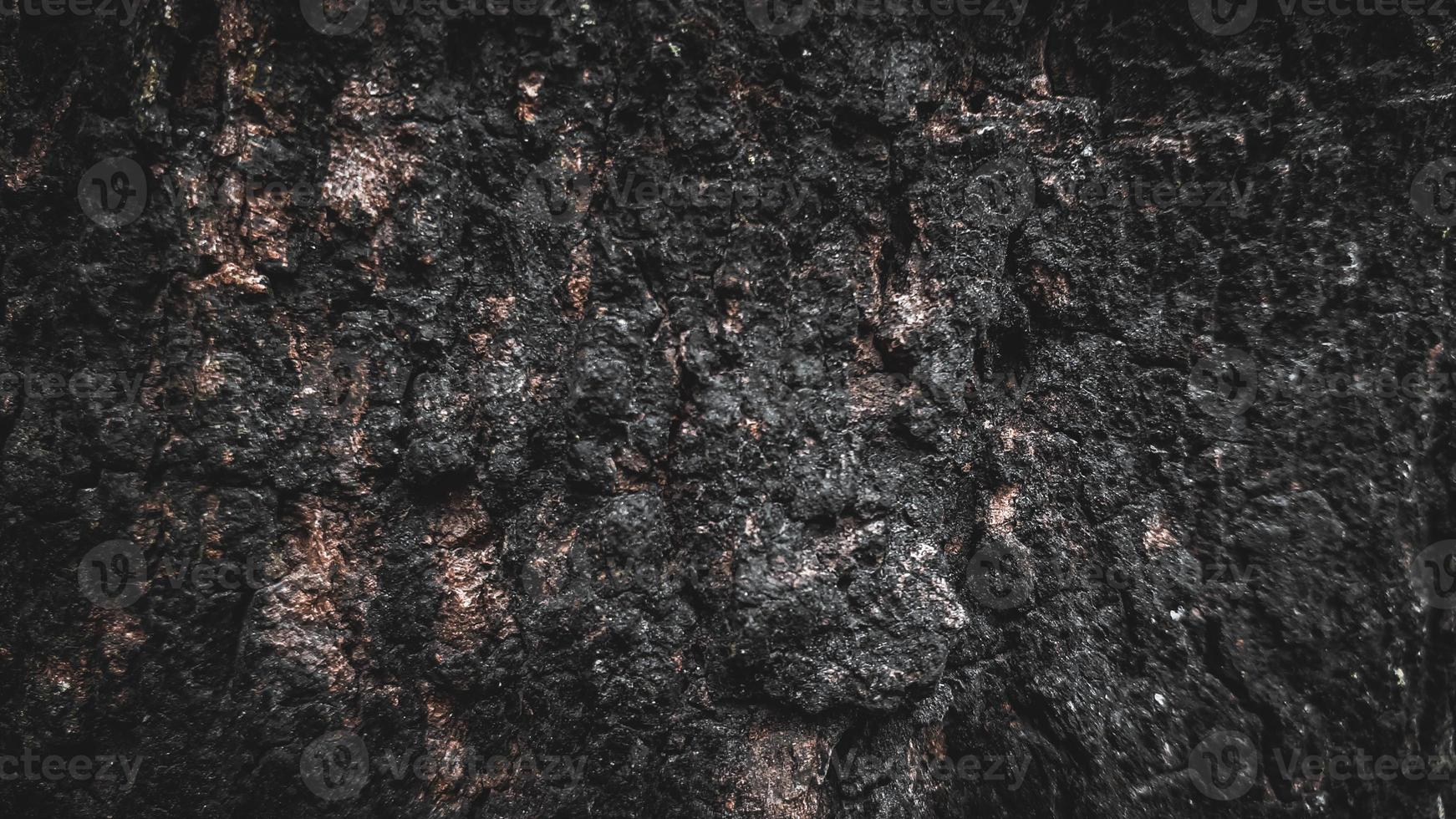 fondo de corteza de árbol negro natural hermosa textura de corteza de árbol viejo según la edad del árbol con hermosa corteza durante el fondo de pantalla de verano foto