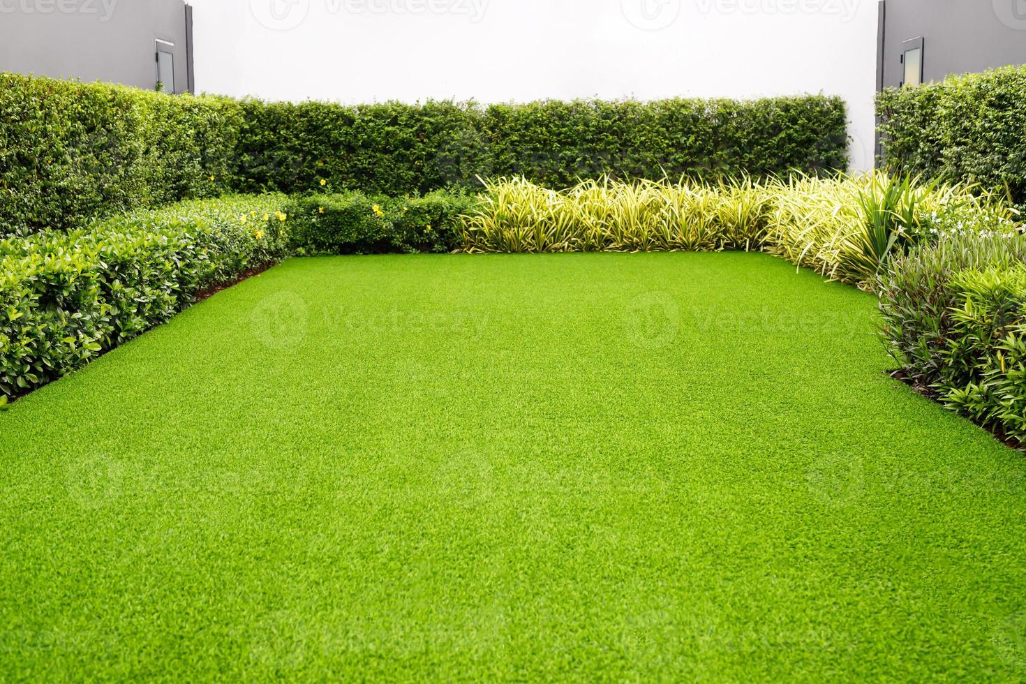 Grass field meadow green on the garden front of the house. photo