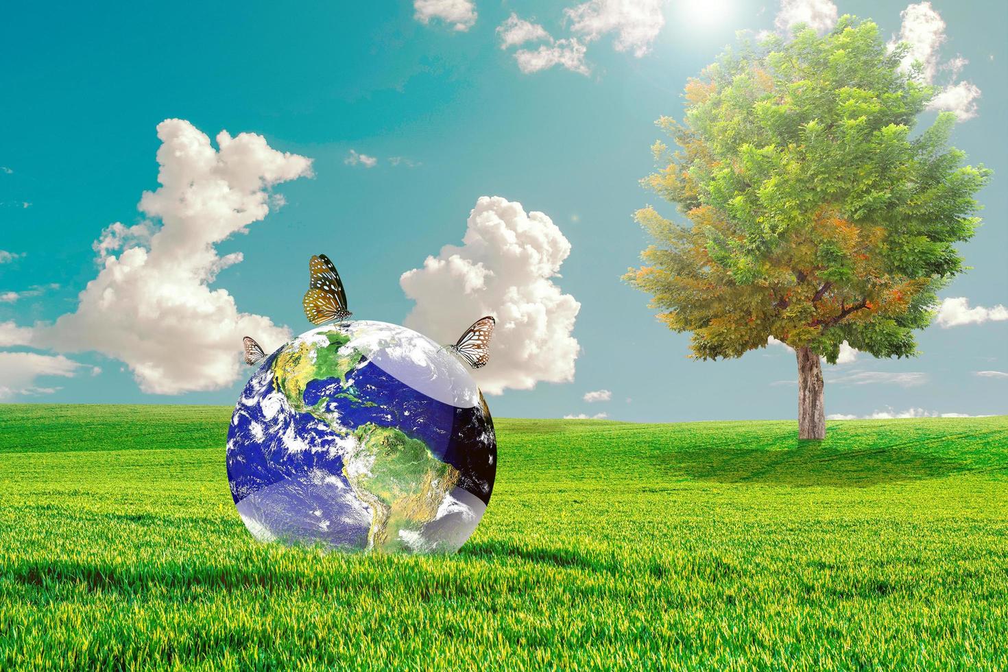 save the world concept Protect the environment. Meadow and the beautiful world photo